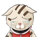 Aたろー